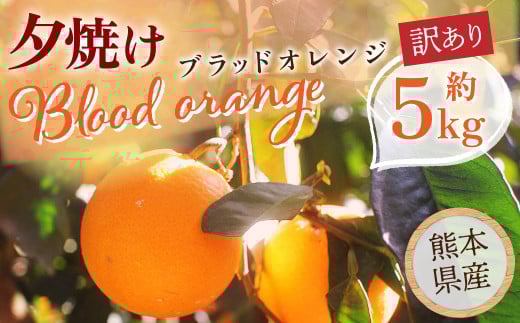 夕焼けブラッドオレンジ 訳あり 5kg 果物 くだもの フルーツ 柑橘[2026年2月下旬-6月下旬発送]