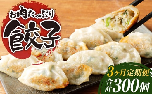 【3ヶ月定期便】お肉たっぷり餃子 約6kg(10個入×10パック×3回)