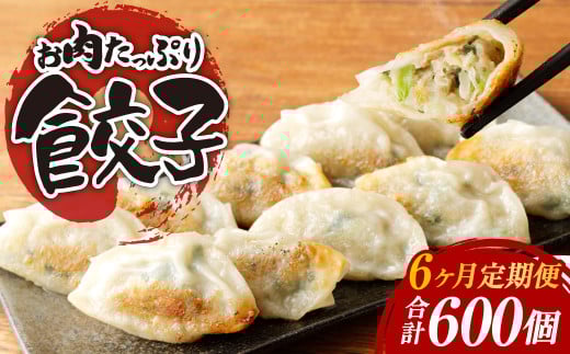 【6ヶ月定期便】お肉たっぷり餃子 約12kg(10個入×10パック×6回)
