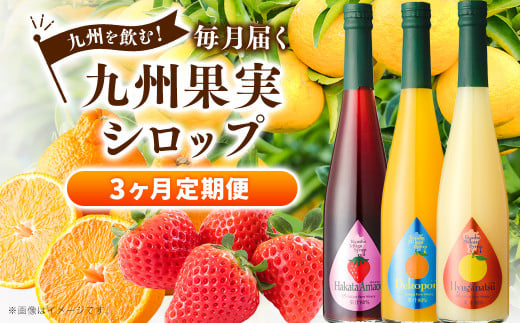 【3ヶ月定期便】 九州を飲む!毎月届く 九州果実シロップ 500ml×1本×3回 果物 フルーツ ジュース デコポン あまおう 日向夏