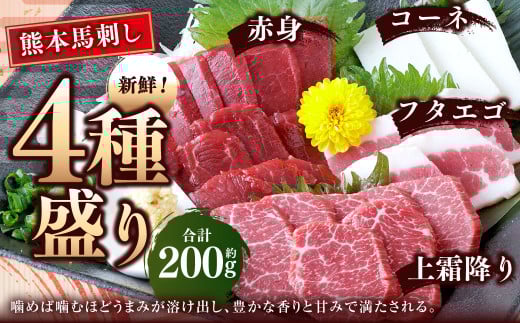 熊本 馬刺し 4種盛り 約200g (赤身・コーネ・フタエゴ・上霜降り 各約50g×1) 馬刺 馬肉 馬 赤身刺し コウネ ふたえご 霜降り 冷凍