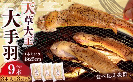 熊本 天草大王 大手羽 9本 (3本×3) 鶏肉 とり肉 鶏 お肉 肉 手羽 冷凍