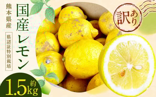 イエローレモン 訳あり 約1.5kg (県認証特別栽培) 国産 柑橘 果物 フルーツ【2025年12月上旬-2026年6月上旬迄発送予定】