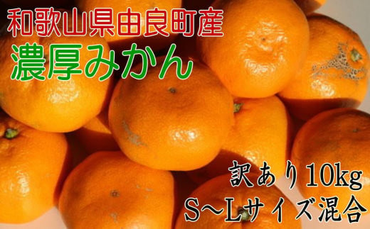 [訳あり・ご家庭用] 和歌山由良町産のみかん 約10kg サイズ混合 [TM201]