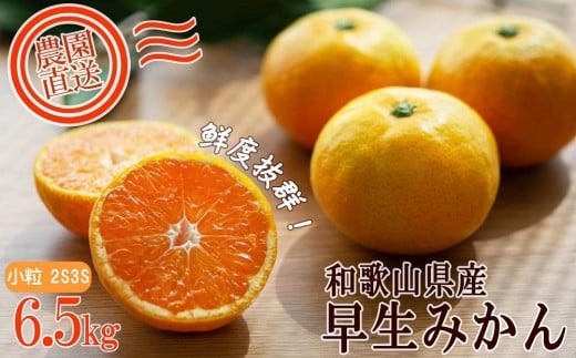小玉みかん【訳あり】2S・3Sサイズ 6.5kg【早生みかん】11月~1月にまごころ産直みかんより農園直送|2Sサイズ SSサイズ 小玉 小粒 小さい こつぶ こだま ※北海道・沖縄・離島への配送不可 ミカン 蜜柑 mikan 早生みかん 訳アリ 訳あり