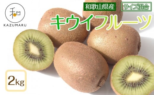 森本農園の キウイフルーツ 約2kg 和歌山県産 サイズ混合 ［北海道・沖縄・離島配送不可］［2026年2月上旬から順次発送］［RN125］