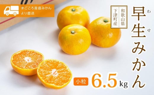 小粒みかん【秀品】S・SSサイズ 6.5kg【早生みかん】11月~1月にまごころ産直みかんより農園直送|Sサイズ 2Sサイズ 小玉 小粒 小さい こつぶ こだま ※北海道・沖縄・離島への配送不可 ミカン 蜜柑 mikan 早生みかん