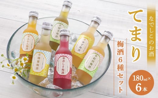 なでしこのお酒「てまり」180ml梅酒6種セット(化粧箱入)