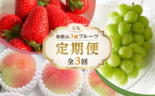 【全3回】和歌山厳選フルーツ定期便( いちご 桃 シャインマスカット )【MG16】