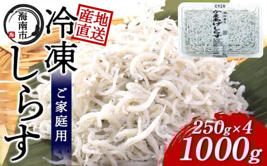 産地直送 ご家庭用 冷凍 しらす 1000g (250g × 4 )( 冷凍 )