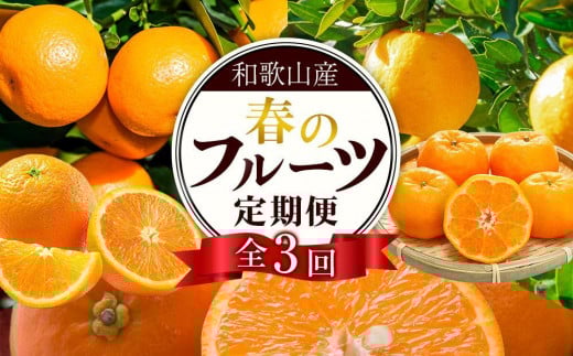和歌山の春のフルーツ（ポンカン・清見オレンジ・セミノールオレンジ）定期便 全3回 【2月・3月・4月発送】【TM184】
