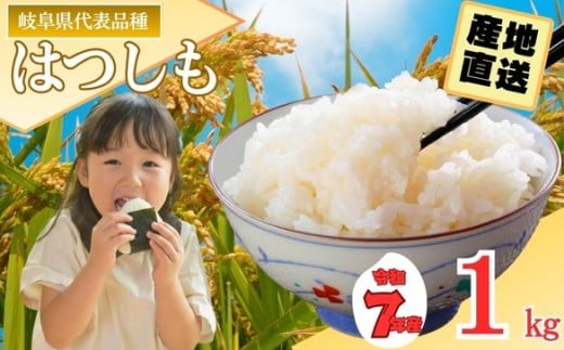 【岐阜県代表品種】　令和7年産　ハツシモ米　白米1kg　S20　【12月1日以降順次発送】