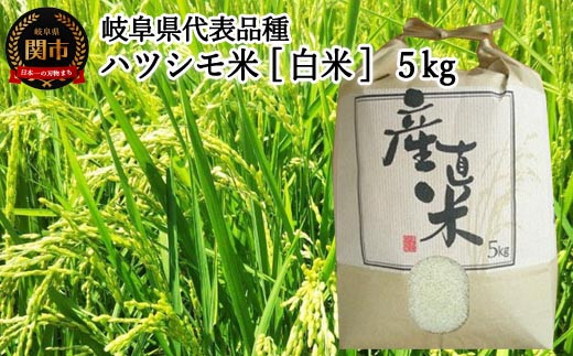 岐阜県代表品種】令和7年産ハツシモ米 【白米】5kg M8【12月以降