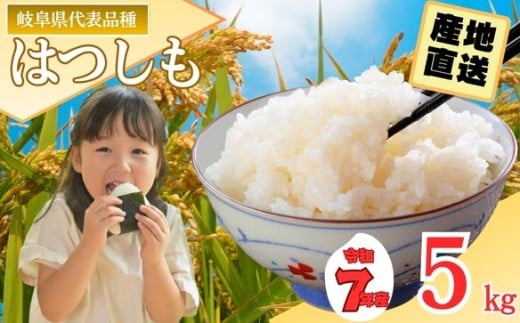 【岐阜県代表品種】令和7年産ハツシモ米 【白米】5kg M8【12月以降順次発送】