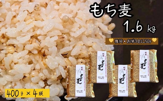 もち麦 【1.6kg】 そのままごはんと一緒にすぐ炊ける 8ぶづき ~栽培期間中 化学肥料 農薬不使用~G15-11