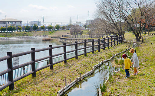 緑のまちづくりの推進に関する事業