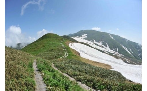 (2)都市と地方の格差の解消に関する事業分野