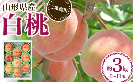 FYN6-073 ≪2026年先行予約≫ ご家庭用 山形県産 品種おまかせ 白桃 約3kg(6~11玉) 2026年8月中旬から順次発送 柔らかくなる桃 はくとう 桃 もも モモ 果物 くだもの 夏果実 フルーツ 訳あり 農業者支援 家庭用 自宅用 産地直送 山形県 西川町 月山