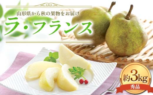 FYN6-056 ≪2025年先行予約≫贈答用 山形県産 西洋梨 ラ・フランス 約3kg (9~10玉) 秀品 2025年11月上旬から順次発送 洋梨 洋なし ラフランス 秋果実 果物 くだもの フルーツ 贈り物 ギフト 産地直送 山形県 西川町 月山
