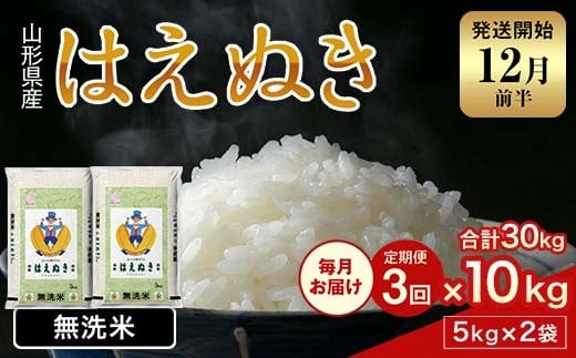 FYN1-980 【3回定期便・12月前半発送】令和7年産 新米 山形県産 はえぬき 10kg 2025年 お米 米 米米 ごはん ご飯 白米 国産 ブランド米 節水 時短 冷めてもおいしい お取り寄せ 食品 山形県 西川町 月山