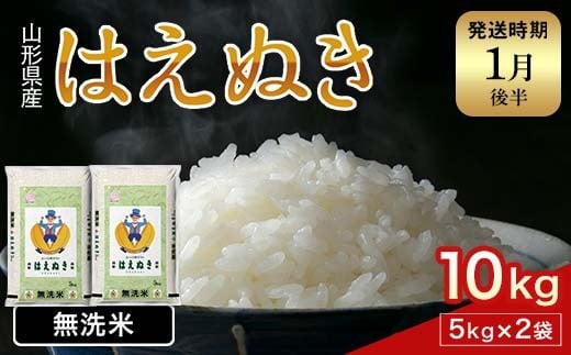 FYN1-959 【1月後半発送】令和7年産 新米 山形県産 はえぬき 10kg 2025年 お米 米 米米 ごはん ご飯 白米 国産 ブランド米 節水 時短 冷めてもおいしい お取り寄せ 食品 山形県 西川町 月山