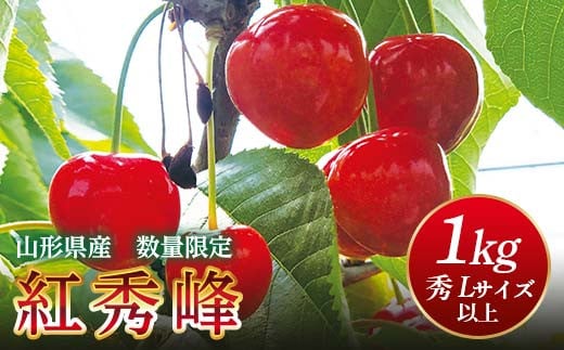 FYN9-257 《2026年先行予約》山形県産 さくらんぼ 紅秀峰 1kg(500g×2) 秀 L以上 バラパック詰め 2026年6月中旬から順次発送 果実 果物くだもの フルーツ 桜桃 サクランボ 化粧箱 贈り物 ギフト 贈答用 家庭用 自宅用 産地直送 山形県 西川町 月山