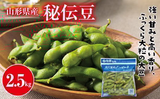 FYN9-388 ≪2026年先行予約≫山形県産 秘伝豆 2.5kg(250g×10袋)2026年9月中旬から順次発送 小分け 個包装 青大豆 枝豆 えだまめ 野菜 やさい おつまみ ビール 国産 山形県 西川町 月山