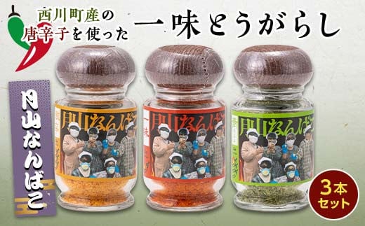 FYN9-528 山形県 西川町産 唐辛子使用! 月山なんばこ 3種3本セット(激辛・一味・青唐辛子) 調味料 食品 香辛料 スパイス 唐辛子 とうがらし 辛い 手作り 命がけ 山形県 西川町 月山