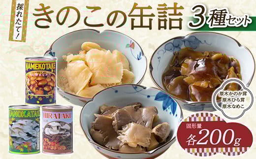 FYN9-544 きのこの缶詰3種セット(原木ひら茸・原木かのか・原木なめこ)(400g×3種) 水煮 加工食品 山形県 西川町