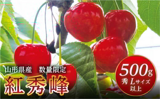 FYN9-602 《2026年先行予約》山形県産 さくらんぼ 紅秀峰 500g 秀 L以上 バラパック詰め 2026年6月中旬から順次発送 果実 果物くだもの フルーツ 桜桃 サクランボ 化粧箱 贈り物 ギフト 贈答用 家庭用 自宅用 産地直送 山形県 西川町 月山