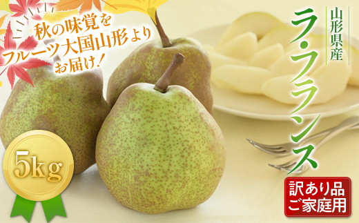 FYN9-598 《2025年先行予約》ご家庭用 山形県産西洋梨 ラ・フランス5kg 2025年11月上旬から順次発送 洋梨 洋なし ラフランス 秋果実 果物 くだもの フルーツ 訳あり 農業者 農家 支援 自宅 家庭 産地直送 山形県 西川町 月山