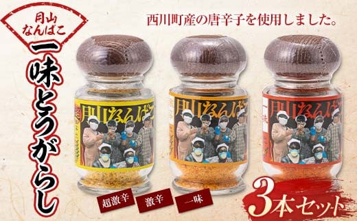 FYN9-644 山形県 西川町産 唐辛子使用! 月山なんばこ 3種3本セット(超激辛・激辛・一味) 調味料 食品 香辛料 スパイス 唐辛子 とうがらし 辛い 手作り 命がけ 山形県 西川町 月山
