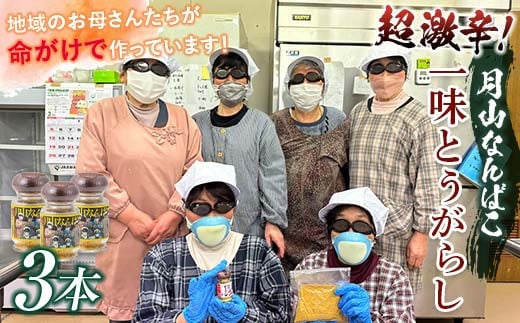 FYN9-733 山形県 西川町産 唐辛子使用! 月山なんばこ 超激辛 3本セット 調味料 食品 香辛料 スパイス 唐辛子 とうがらし 辛い 手作り 命がけ 山形県 西川町 月山