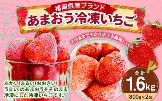 福岡県産 ブランド【あまおう】冷凍いちご 1600g 冷凍フルーツ 苺 イチゴ あまおう