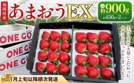 【ギフト用/特別栽培】 福岡県産 あまおう EX 約450g×2パック 【2026年1月上旬~3月下旬発送予定】 いちご イチゴ 苺 フルーツ 果物 くだもの ギフト 贈答用 贈り物 福岡県 遠賀町
