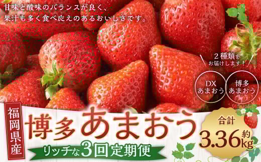 博多 あまおう リッチな 3回 定期便 計約 3360g 福岡 イチゴ いちご 苺 フルーツ【2025年12月上旬~2026年2月下旬発送予定】