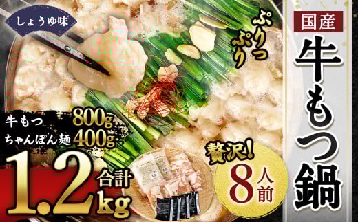 【2026年2月発送】国産もつ鍋 8人前 冷凍ちゃんぽん・濃縮スープ付き(醤油味)