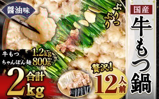 【2026年2月発送】国産 牛もつ鍋 12人前 ちゃんぽん 濃縮スープ付(醤油味)