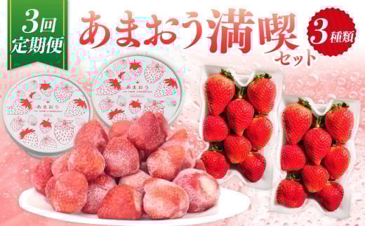 【予約受付・3回定期便】 あまおう満喫セット 【2026年3月上旬~8月発送予定】 (フレッシュあまおう / 冷凍あまおう / あまおうジェラート) 苺 イチゴ いちご あまおう ジェラート フルーツ 果物 くだもの セット お取り寄せ ギフト プレゼント おすすめ 定期便 国産 冷凍