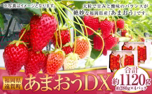 あまおうDX 約280g×4パック あまおう いちご イチゴ 苺 果物 くだもの フルーツ【2026年2月上旬~4月上旬発送予定】
