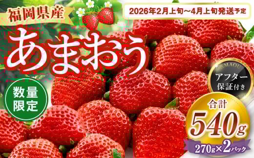 【数量限定】 福岡県産 あまおう 270g × 2パック 【2026年2月上旬~4月上旬発送予定】 苺 イチゴ いちご 果物 フルーツ 果実 国産 アフター保証 アフター対応 福岡県 遠賀町 冷蔵