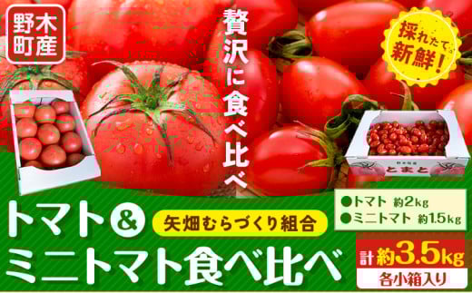 [先行予約]トマト 小箱 約2kg + ミニトマト 小箱 約1.5kg 食べ比べ 栃木県 野木町産 矢畑むらづくり組合 [2025年10月上旬-2026年6月下旬頃出荷]栃木県 野木町 トマト ミニトマト 野菜 新鮮