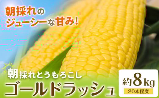 【先行予約】とうもろこし 約8kg(20本程度) 野木町産 老沼 利治《2026年6月中旬-7月中旬頃出荷》栃木県 野木町 ジューシー 生食可能 旬の野菜 健康食 バーベキュー 焼き 茹で とうもろこし ゴールドラッシュ 黄色 イエロー 朝採れ クール便 先行予約 野菜 スイートコーン コーン