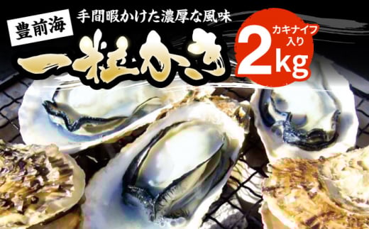 【先行予約】豊前海一粒かき 2kg 【2026年1月中旬以降順次発送】 《豊前市》【豊築漁業協同組合】 牡蠣 カキ かき 牡蛎 [VAG013]