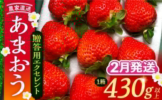 【先行予約】【2月-4月発送】 あまおう 贈答用 エクセレント 430g以上×1箱 《豊前市》【内藤農園】果物 いちご [VAB010]