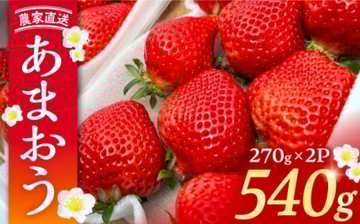 【先行予約】【2月-4月発送】農家直送 あまおう 540g （270g以上 × 2 パック） 土耕栽培《豊前市》【内藤農園】果物 いちご [VAB014]