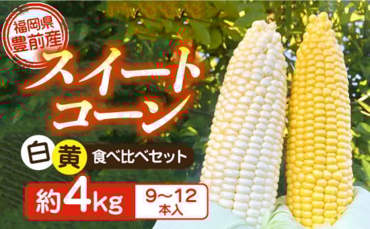 【先行予約受付　2026年6月頃より順次発送】【冷蔵配送】農家直送 朝どれ スイートコーン 白 黄 食べ比べ セット 約4kg （9～12本入り）《豊前市》【湯越農園】 野菜 コーン [VBC002]