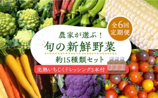 【全6回定期便】農家が選ぶ!旬の新鮮野菜セット約15種類と農家が作るドレッシング(200g×3本セット)《豊前市》【田村農産】産直 野菜 やさい 詰め合わせ ドレッシング [VBE012]
