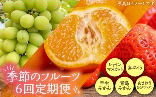 【全6回定期便】フルーツ定期便 《豊前市》【山田農場 フルーツランド】 果物 くだもの フルーツ [VCY016]