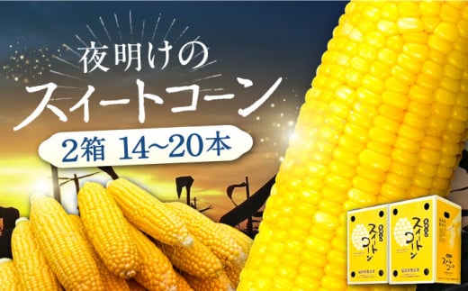 【先行予約】夜明けのスイートコーン 4kg×2箱 (14～20本) 【2026年6月以降順次発送】《豊前市》【アグリネックス】 とうもろこし コーン スイートコーン 25000円 [VCO002]